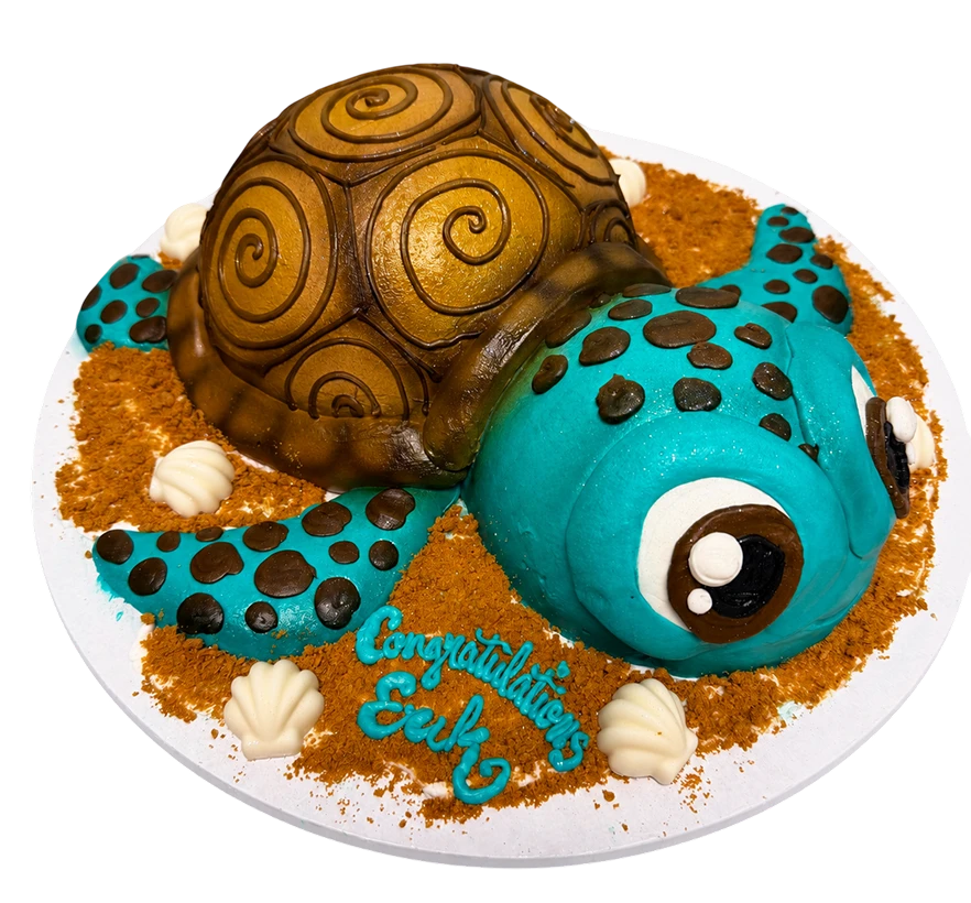 Turtle-themed cake with "Congratulations" message.